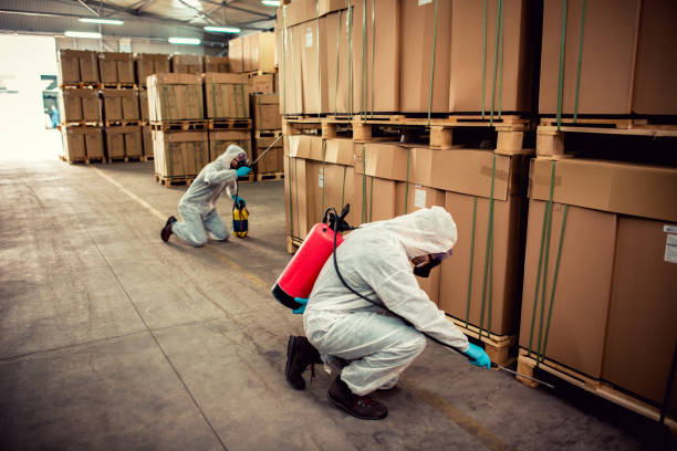Best Pest Inspection Near Me  in Franklin Furnace, OH