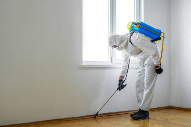 Best Wildlife Control Services  in Franklin Furnace, OH