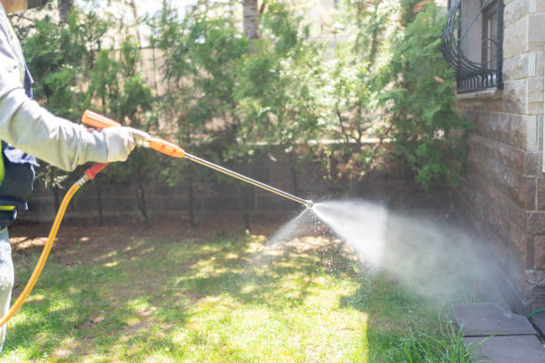 Spider Control Near Me in Franklin Furnace, OH