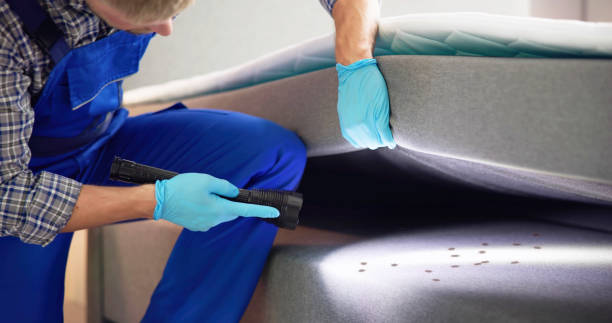 Best Bed Bug Extermination  in Franklin Furnace, OH